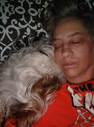 Finnegan....if you were smart you'd come up here with me.... Mom has a  habit of dropping her tools... just saying