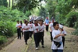 3 952 gambar gambar gratis dari lingkungan hidup gambar terkait. Malaysian Nature Society Mns