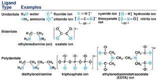 Check spelling or type a new query. Coordination Compounds Ligands W3spoint