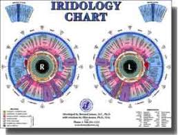 Iridology Chart 8 5x11