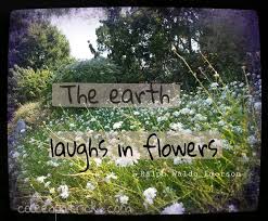 Coleen Patrick S Writing Blog Coleenpatrick Com Keep Going Quotes Art In The Park Wonderful Words