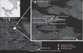 Ten years ago the daily mail launched a campaign to end the overuse of plastic bags. Benthic Communities Of Coastal Water Bodies At Different Stages Of Isolation From The White Sea In The Vicinity Of The White Sea Biological Station Moscow State University Kandalaksha Bay White Sea