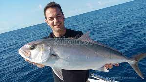 Maybe you would like to learn more about one of these? Nel Mare Di Tropea Dentici E Ricciole Da Record Il Vibonese
