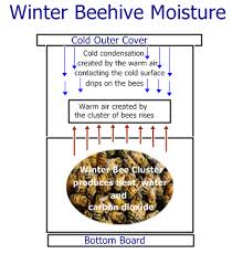 Strathcona Beekeepers Library Insulated Moisture Quilt
