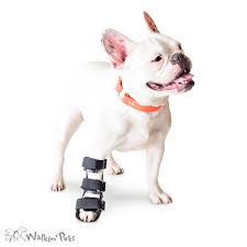 Free shipping worldwide available at casetify. Walkin Front Splint For Cats Dogs Oliver Pet Care