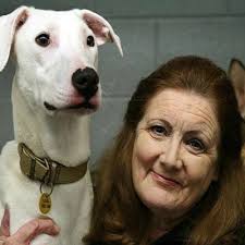 Shelter desperately needs funds