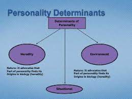 Personality Personality Heredity Pie Chart