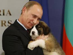 Central asian shepherd dog alabai puppies are 1 month old on this video. Vladimir Putin Kisses And Hugs His New Puppy Given To Him As Birthday Present Pet Rescue Report