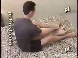 Zoo Videos Free