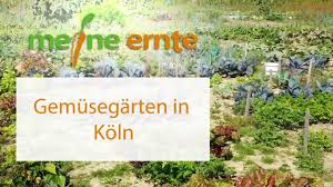 Finden sie ihre traumwohnung in köln mit yourimmo.de! Meine Ernte Miete Deinen Garten In Koln