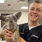 TAKE A LOOK AROUND — Neighborhood Veterinary Centers prepares massive Mid  County grand opening