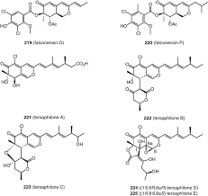 Image result for Monanthotaxis trichocarpa