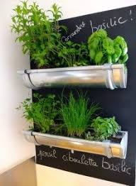 Cultivez Un Jardin De Plantes Aromatiques Dans Votre Cuisine Herbes De Cuisine Culture D Herbes Petits Jardins