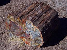 There Is A Long List Of Safe And Unsafe Rocks Bois Petrifie Fossiles Mineraux