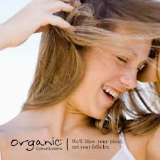 Streak Of Green Hair Salon