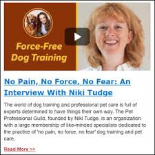 Maybe you would like to learn more about one of these? Shared Article Green Acres Kennel Shop Blog