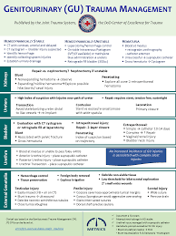 Image result for Genitourinary Trauma