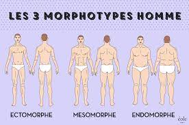Comment s habiller selon sa morphologie homme. Morphologie Homme Conseils Test Astuces Mode Infographies