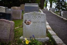 It always struck me as a little over the top, but now. At America S First Pet Cemetery Beloved Animals From Lizards To Lions Find A Peaceful Resting Place Roadtrippers