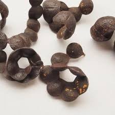 Image result for Cathormion