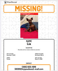 Pin By Nancy Gomes On Animals Lost Pets Losing A Pet Miniature Doberman Pinscher Doberman Pinscher