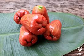 Situs jual beli online terlengkap dengan berbagai pilihan toko online terpercaya. Manfaat Jambu Air Yang Istimewa Untuk Kesehatan Ada Banyak