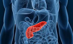 Conoces Cuales Son Las Principales Funciones Del Pancreas No Solo Te Cancer De Pancreas Salud Remedio Para El Cancer