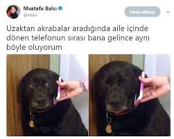 Anlamli Dusundurucu Eglenceli Guzel Komik Konusan Resimler Konusan Resimler Www Kizlarinsirlari Club Komik Seyler Gulunc Resimler Komik Capsler