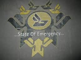 Bjork State Of Emergency Shirt For Sale Bjork Vintage Tee Bandshirt Summer Festival Swag Electronica 90s Iceland Thesugarcubes Sigurros Vintage Tshirts Bjork Band Shirts