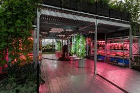 Inside The Great Pavilion At 2019 Rhs Chelsea Rhs Gardening