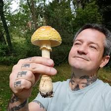 Hundreds of Toadstools ( Fly Agaric ) growing in the Woods! 🍄🍄🍄🍄🍄🍄