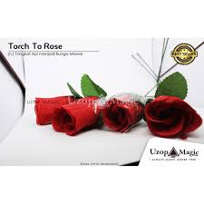 11) bunga mawar dapat mengatasi bengkak, caranya cuci bersih bunga mawar lalu ditambah daun sembung. Alat Sulap Torch To Roses Uzop Magic Mengubah Api Jadi Bunga Sulap Bunga Mainan Shopee Indonesia