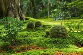 Jizo Statue In The Moss Garden Of Sanzen In Temple Kyoto C Oben901 Fotolia Com Moss Garden Japan Jizo