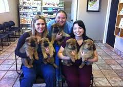 Affordable pet care northwest is now covenant care animal hospital. Affordable Pet Care Basse 1362 Basse Rd San Antonio Tx 78212 Yp Com