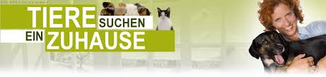 Die offizielle facebookseite der sendung tiere suchen ein zuhause des wdr. Tiere Suchen Ein Zuhause Sendetermine 05 01 2020 23 08 2021 Fernsehserien De