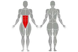 Bauchtraining Grundlagen Tipps Die Besten Ubungen