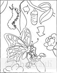Caterpillar With Cocoon And Butterfly Childrens Church Clipart Butterfly Coloring Page Valentines Day Coloring Page Coloring Pages