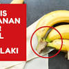 Itu adalah rutin yang perlu dilakukan sebelum nak urut zakar. Https Encrypted Tbn0 Gstatic Com Images Q Tbn And9gcqdlrzdcnls X3ogp2mpwplolhfib3wb7kvifajyrq9cymuha Q Usqp Cau