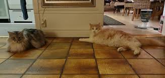 Image result for site:byggahus.se weber performance