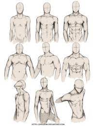 Male Torso Drawing Reference Sketches Drawings Character Design References