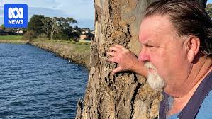 Regional Australians falling through the cracks of a 'complicated' mental  health system