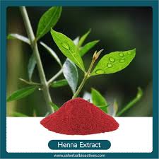 Image result for Lawsonia inermis