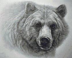 Pdf pattern with black and white symbols pdf pattern with color symbols information about strands and symbols. Grizzly Bear By Darrel Bevan