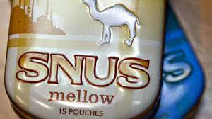 Can snus help you quit smoking? What A Recent Fda Recommendation Means For Reynolds American Triad Business Journal