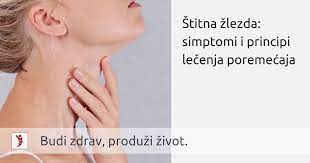 pin on endokrinologija