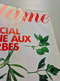 Image result for Rouge 1989 ARO