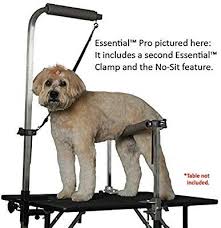 Amazon Com Groomers Helper Essential Pro Set With Large Clamps Dog Grooming Shop Dog Grooming Tips Dog Grooming Salons