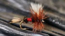 Fly Fishing 101