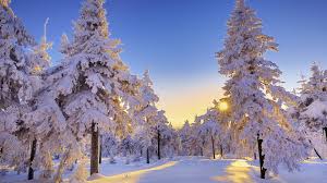 Wallpaper hd of wintersun, music, metal band. Free Winter Sun Wallpapers Wallpapers Backgrounds Images Art