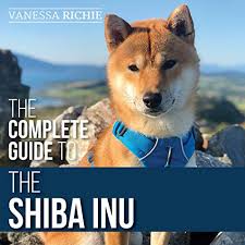 Shiba inu (shib) | binance research. The Complete Guide To The Shiba Inu By Vanessa Richie Audiobook Audible Com